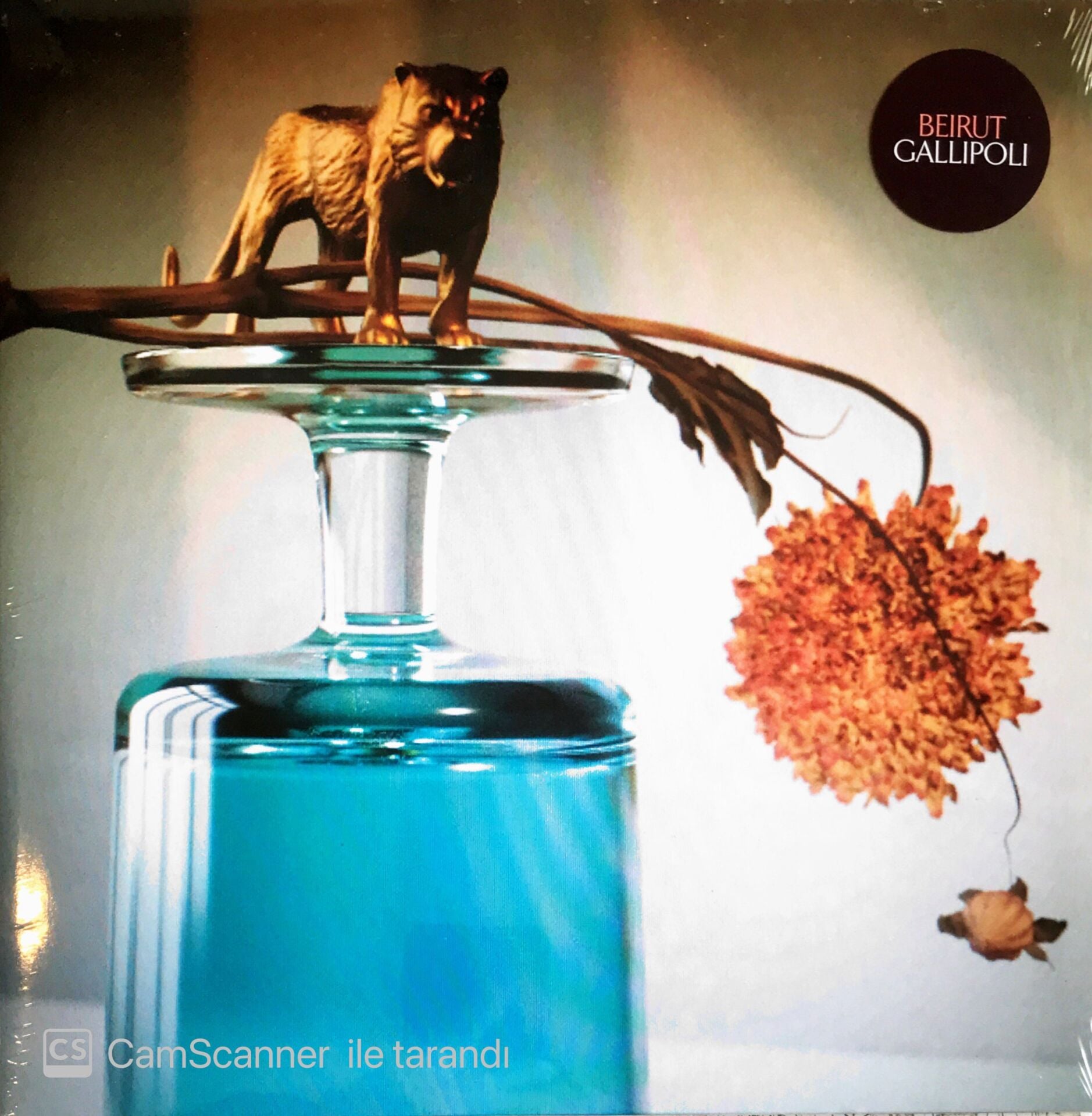 Beirut - Gallipoli LP