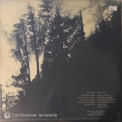 Nether Lands Dan Fogelberg LP