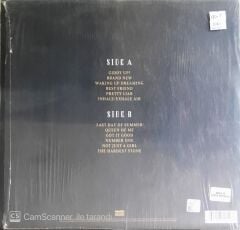 Shania Twain - Queen Of Me - LP