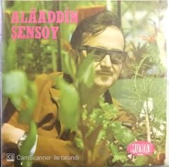 Alaaddin Şensoy - Nasıl Geçti Habersiz 45lik