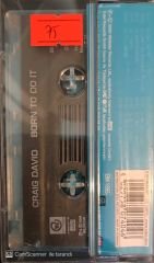 Craig David - Born to Do It KASET