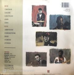 Simply Red Picture Book LP