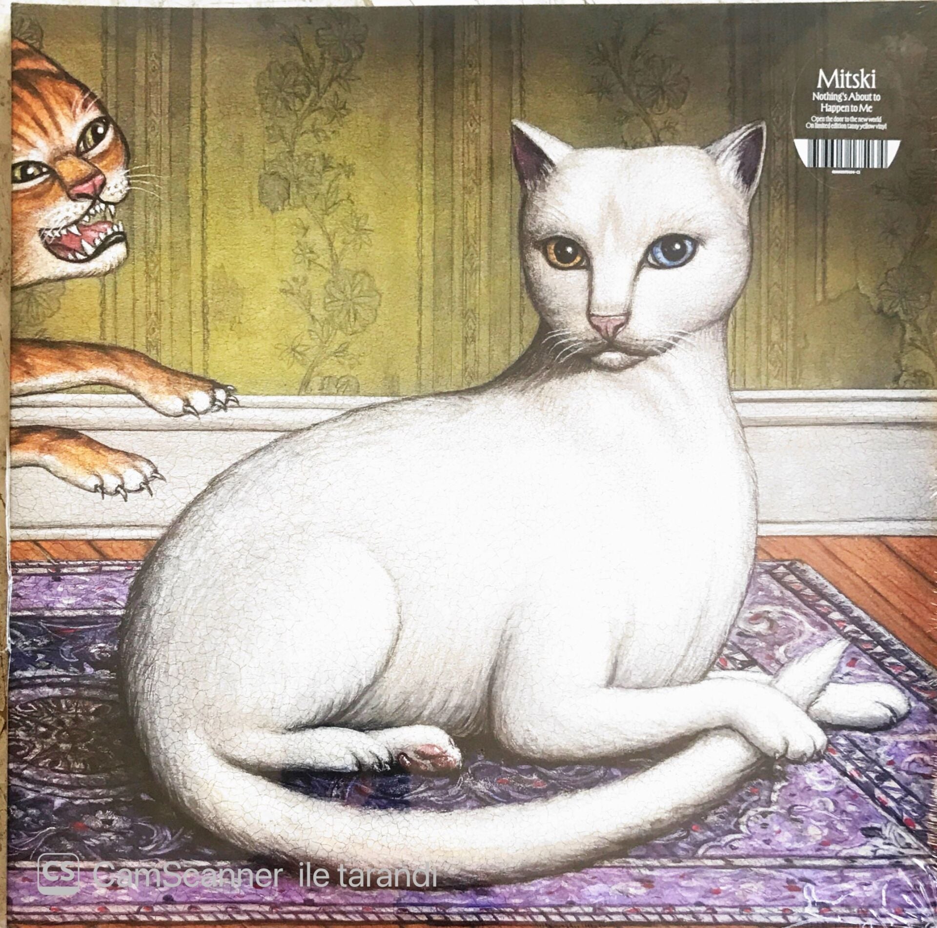 Mitski - Nothing's About to Happen to Me LP