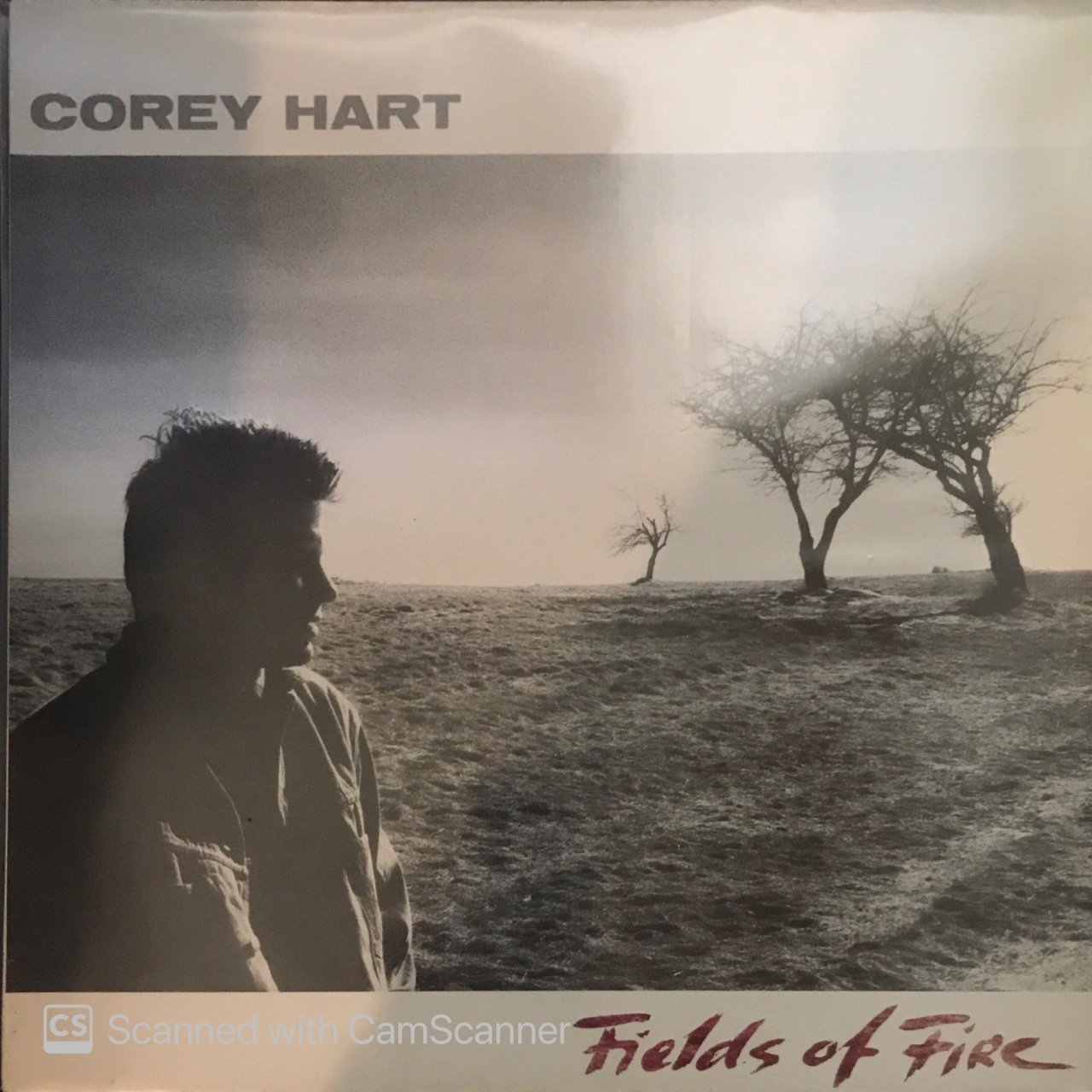 Corey Hart Fields Of Fire LP