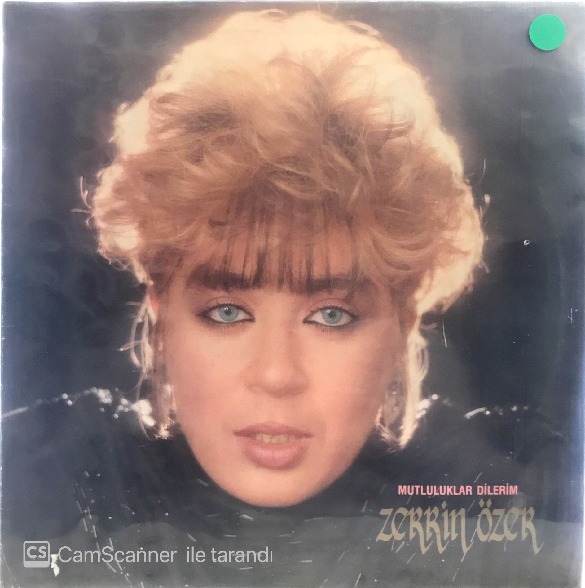 Zerrin Özer - Mutluluklar dilerim LP