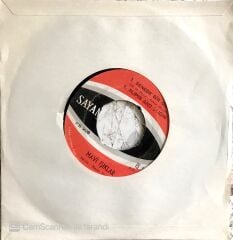 Mavi Işıklar Ayva Çiçek Açmış 45lik