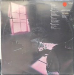 Planet P Project Pink World Çift LP