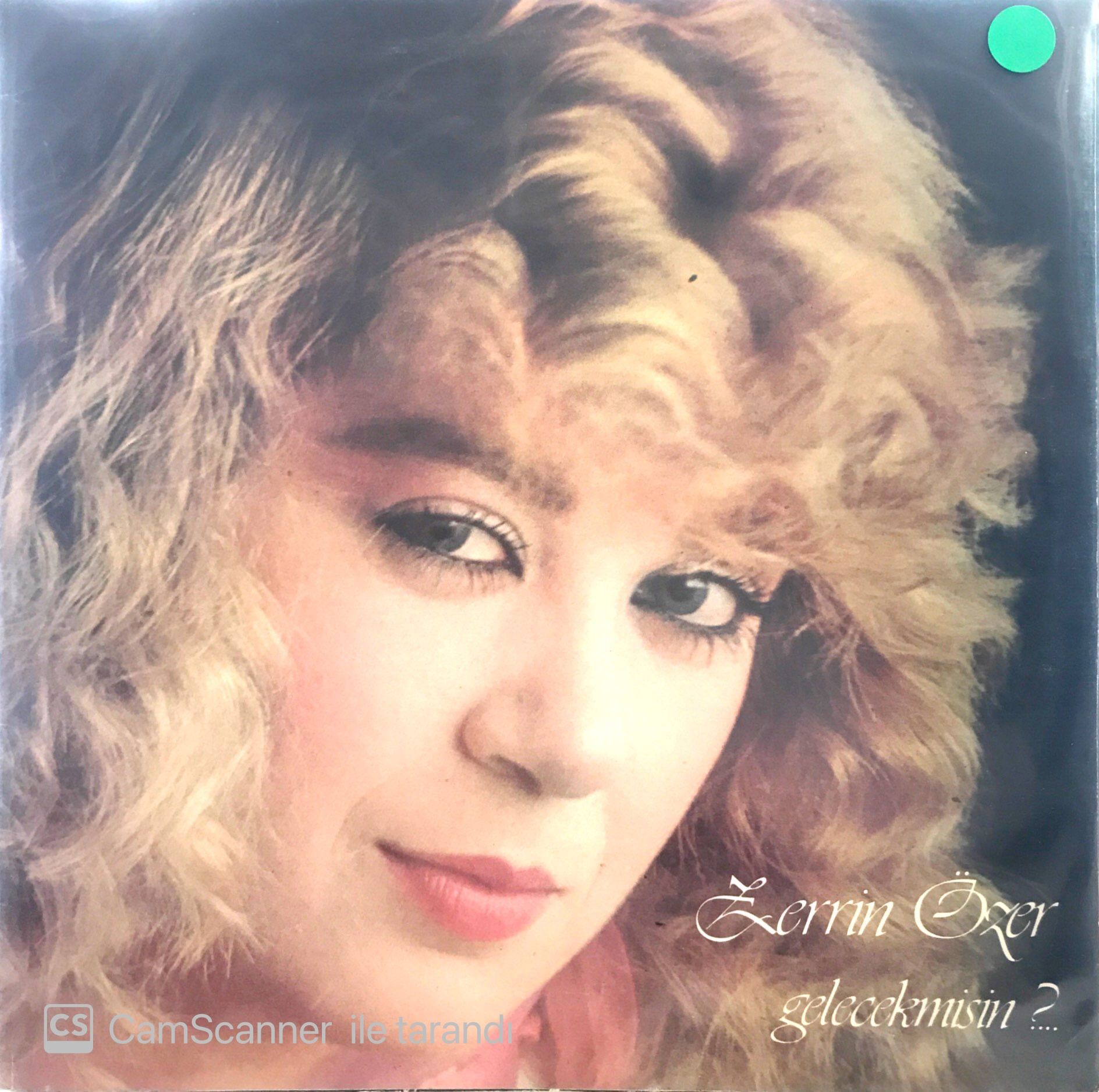 Zerrin Özer - Gelecekmisin LP