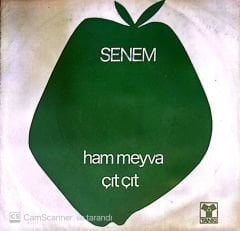 Senem Ham Meyva 45lik