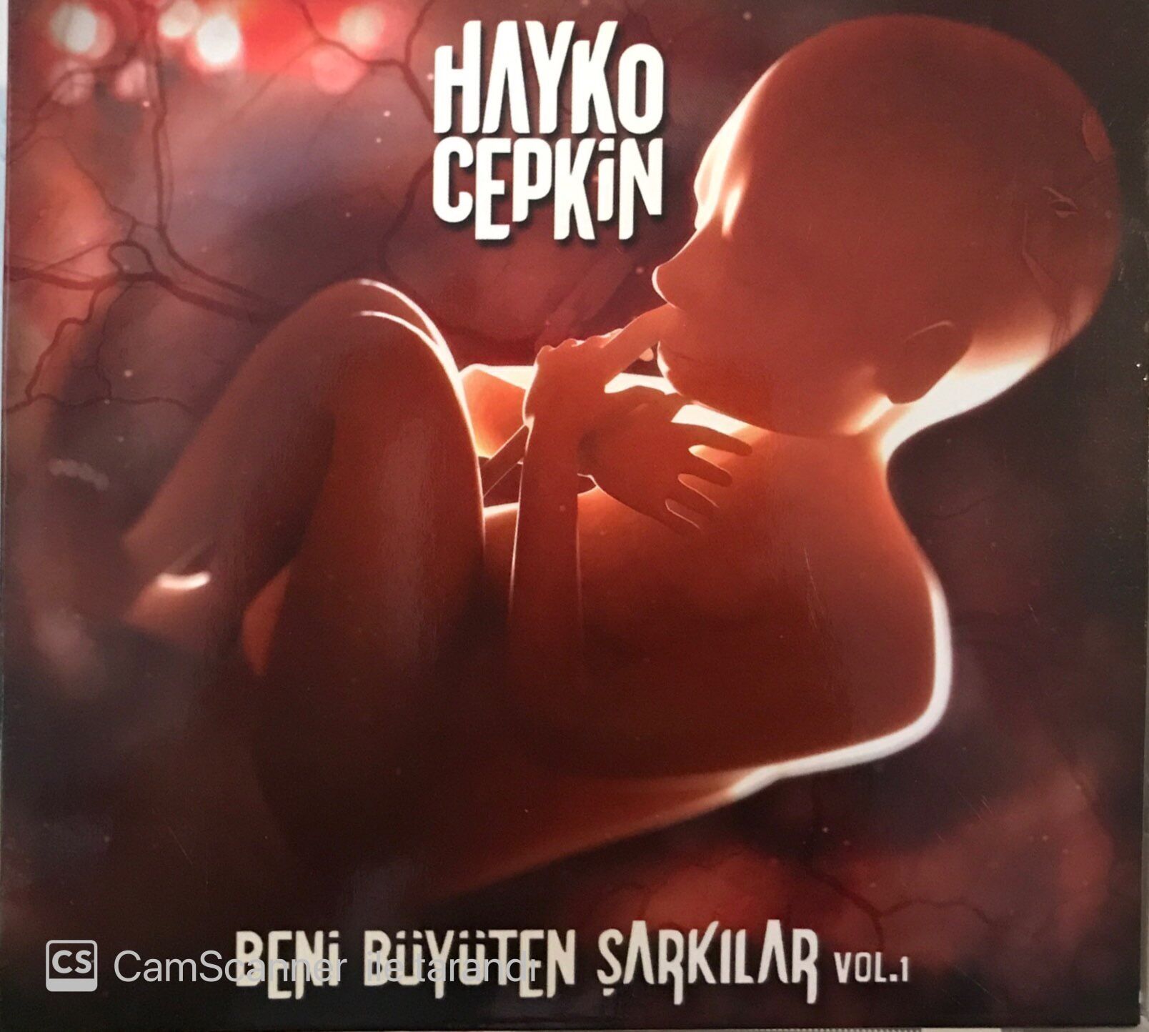 Hayko Cepkin Beni Büyüten Şarkılar Vol.1 CD