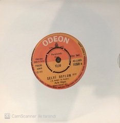 Ayla Algan Selvi Boylum 45lik