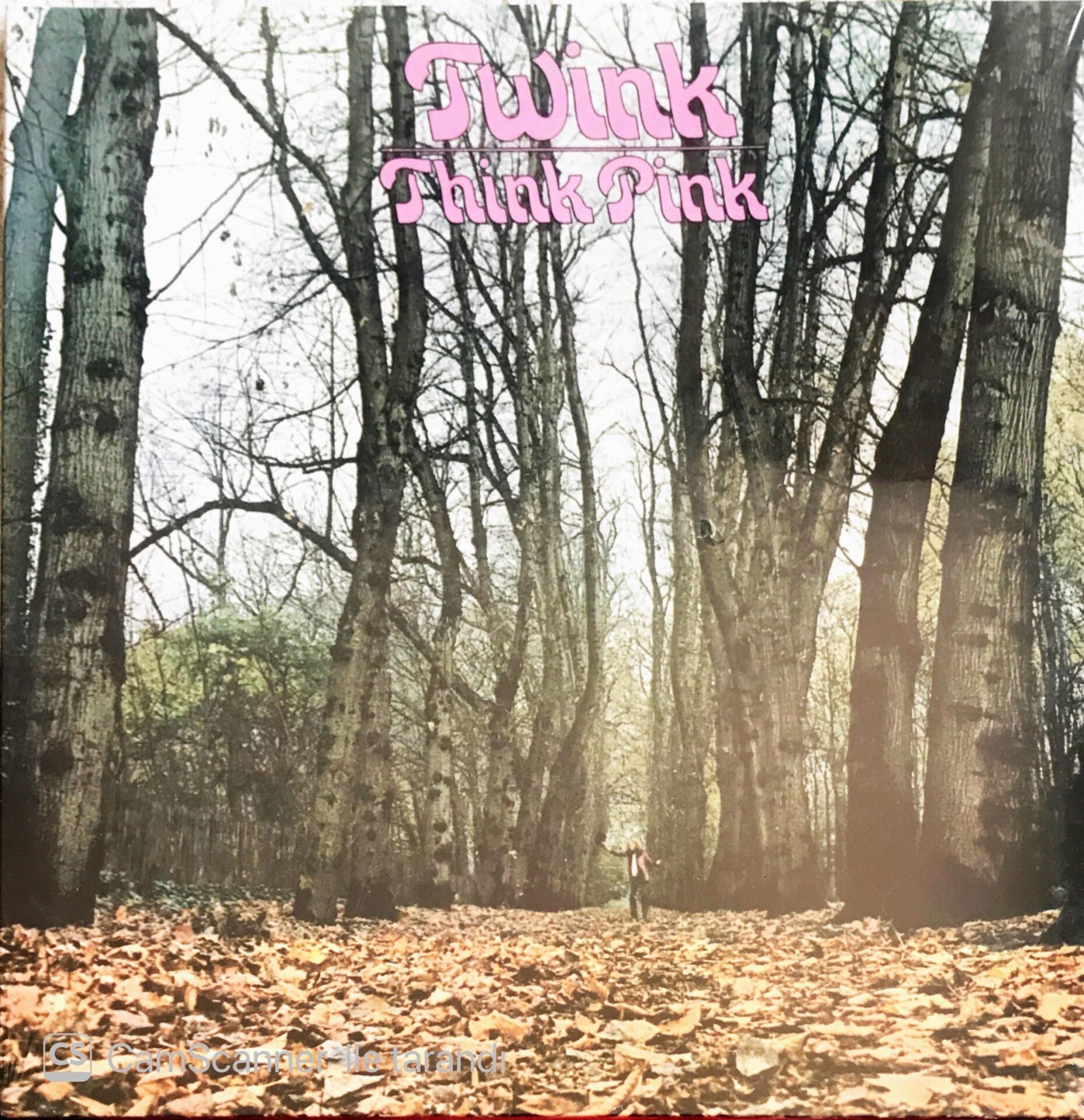 Twink - Think Pink - LP