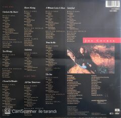 Joe Cocker - Unchain My Heart - LP