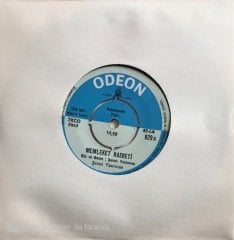 Şemsi Yastıman Memleket Hasreti 45lik