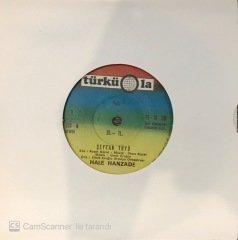 Hale Hanzade Şeytan Tüyü 45lik