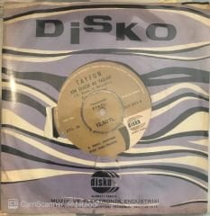 Tayfun Bizim Son Gecemiz 45lik