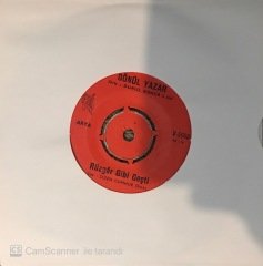 Gönül Yazar Rüzgar Gibi Geçti 45lik