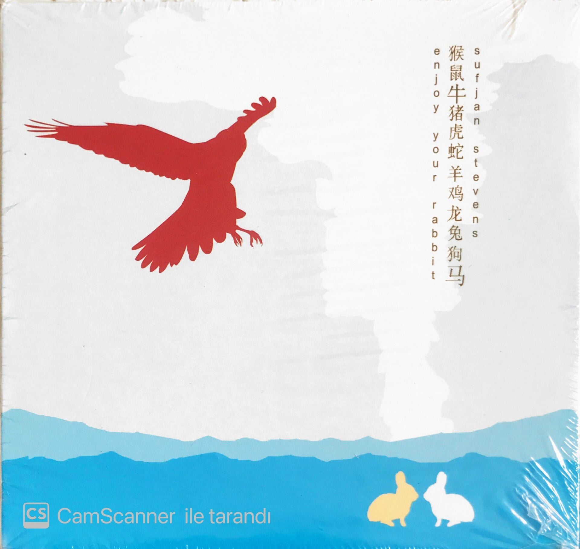 Sufjan Stevens - Enjoy Your Rabbit - CD