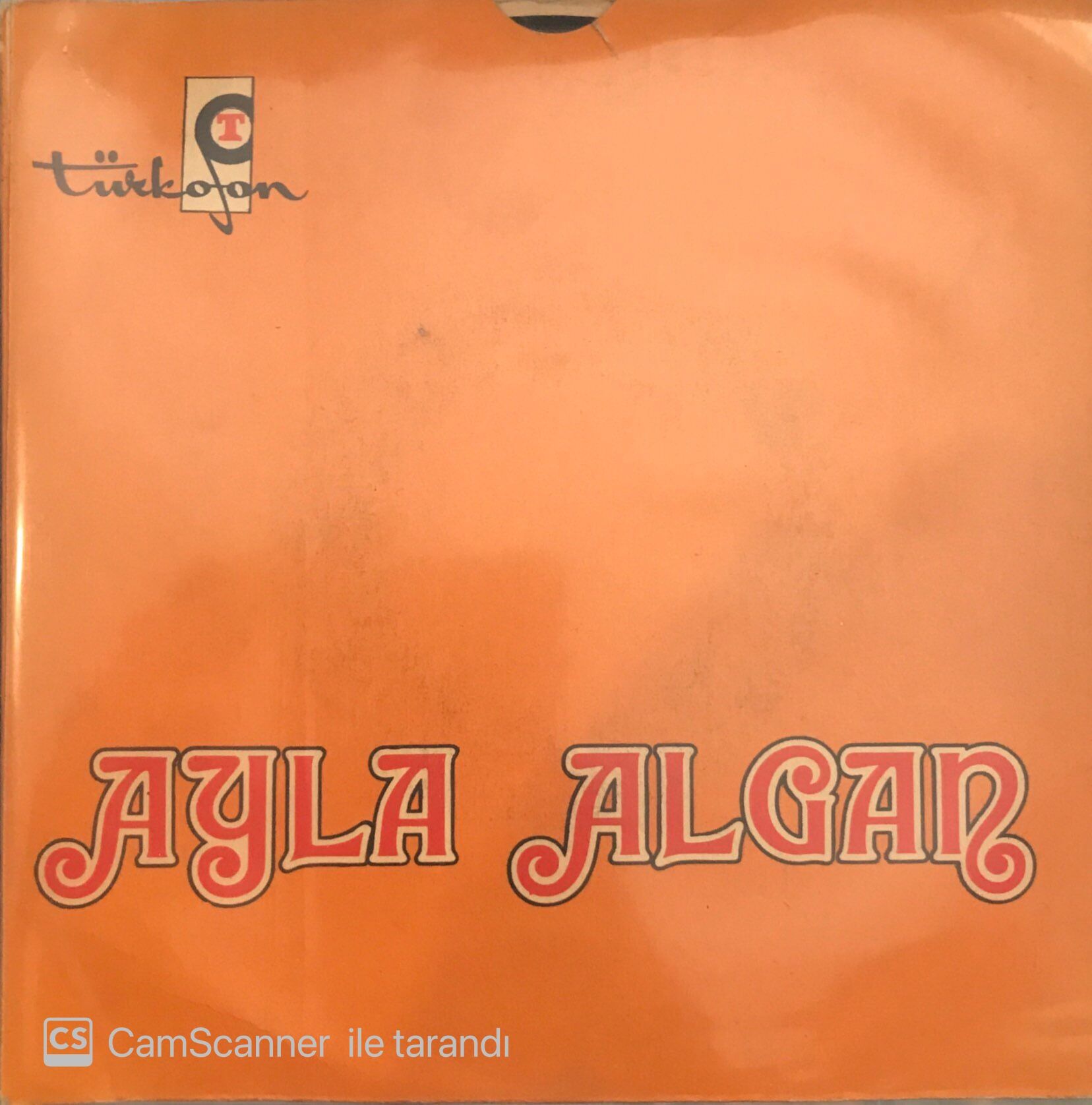 Ayla Algan Aşk Mı Bu 45lik