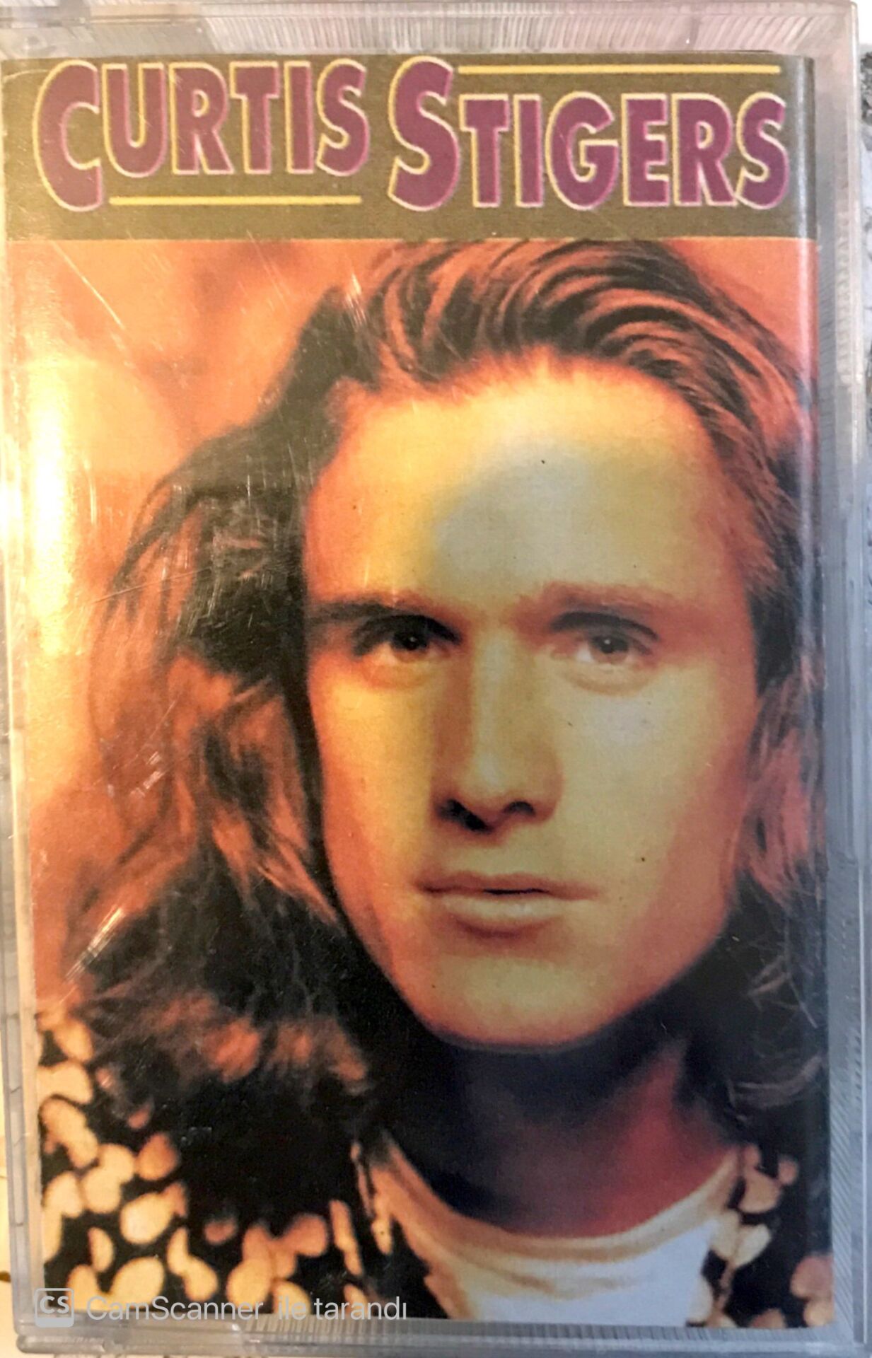 Curtis Stigers KASET