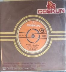 Lale Belkıs - Yalanmış Sözlerin 45lik