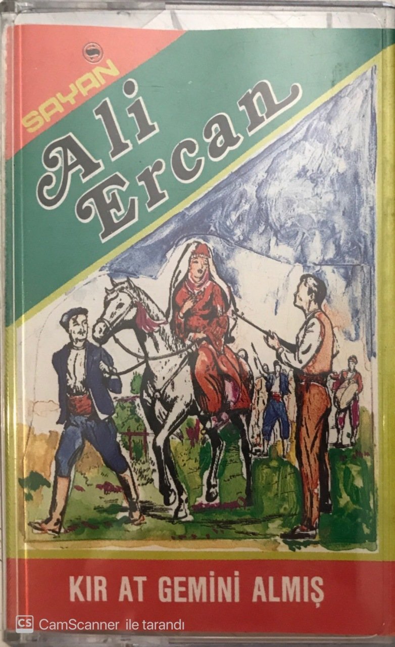 Ali Ercan Kır At Gemini Almış KASET