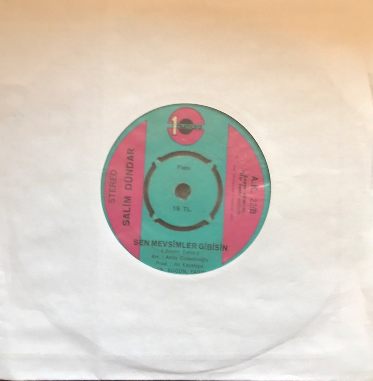 Salim Dündar Sen Mevsimler Gibisin 45lik