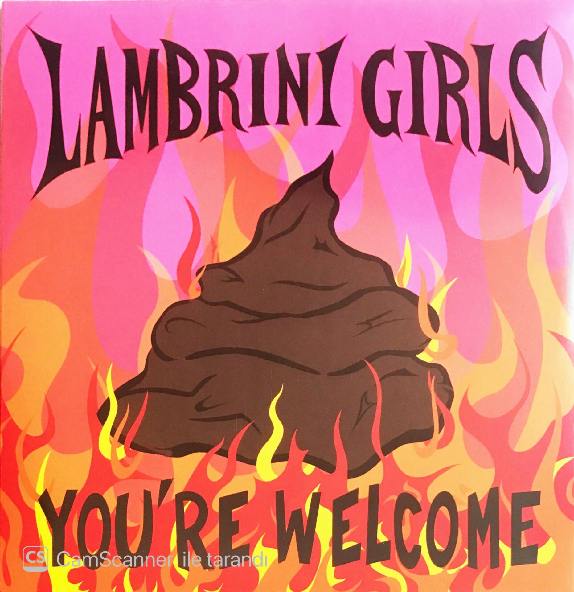 Lambrini Girls - You're Welcome - LP