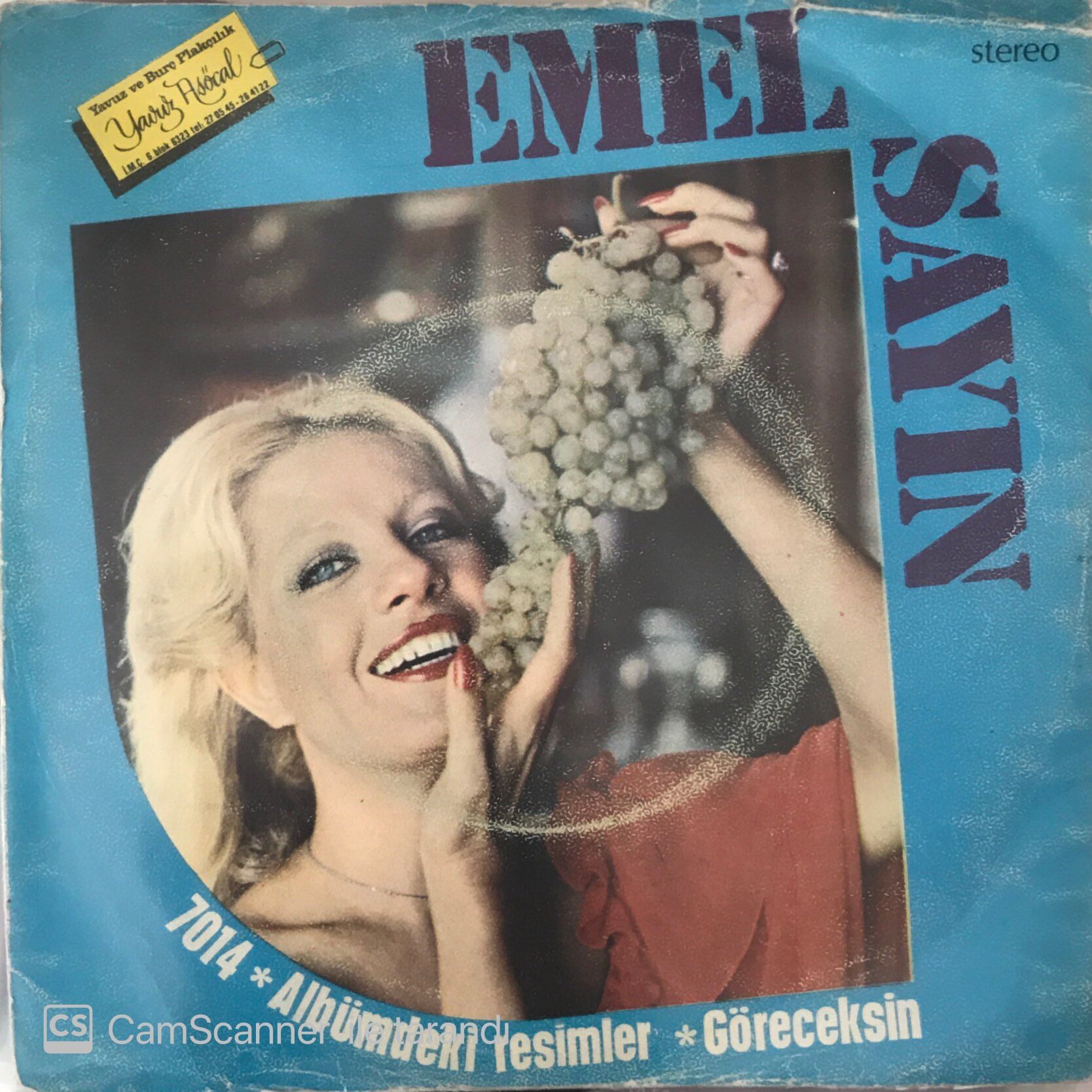 Emel Sayın Albümdeki Resimler 45lik