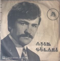 Aşık Gülabi Ölmeden 45lik