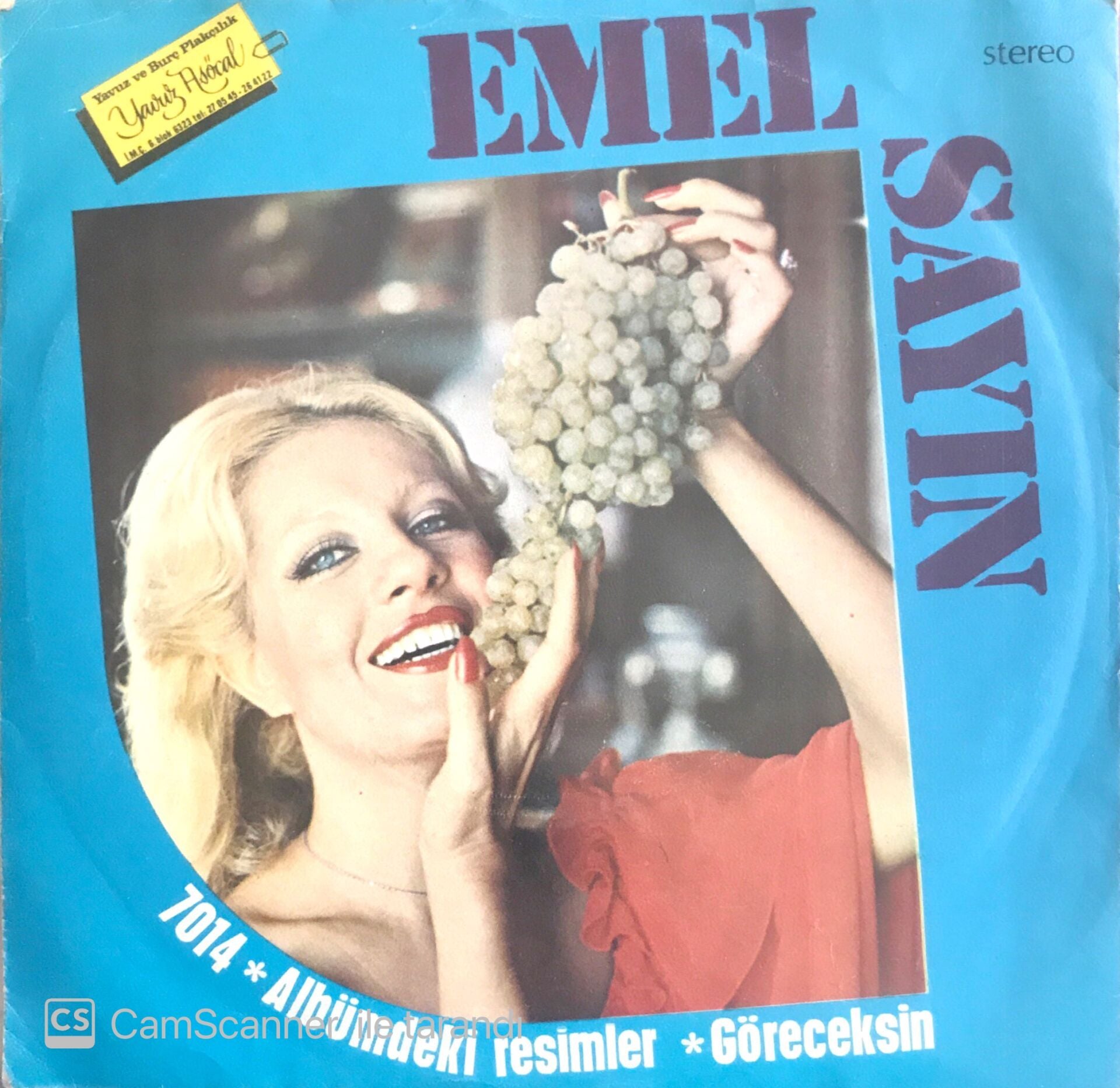 Emel Sayın Albümdeki Resimler 45lik