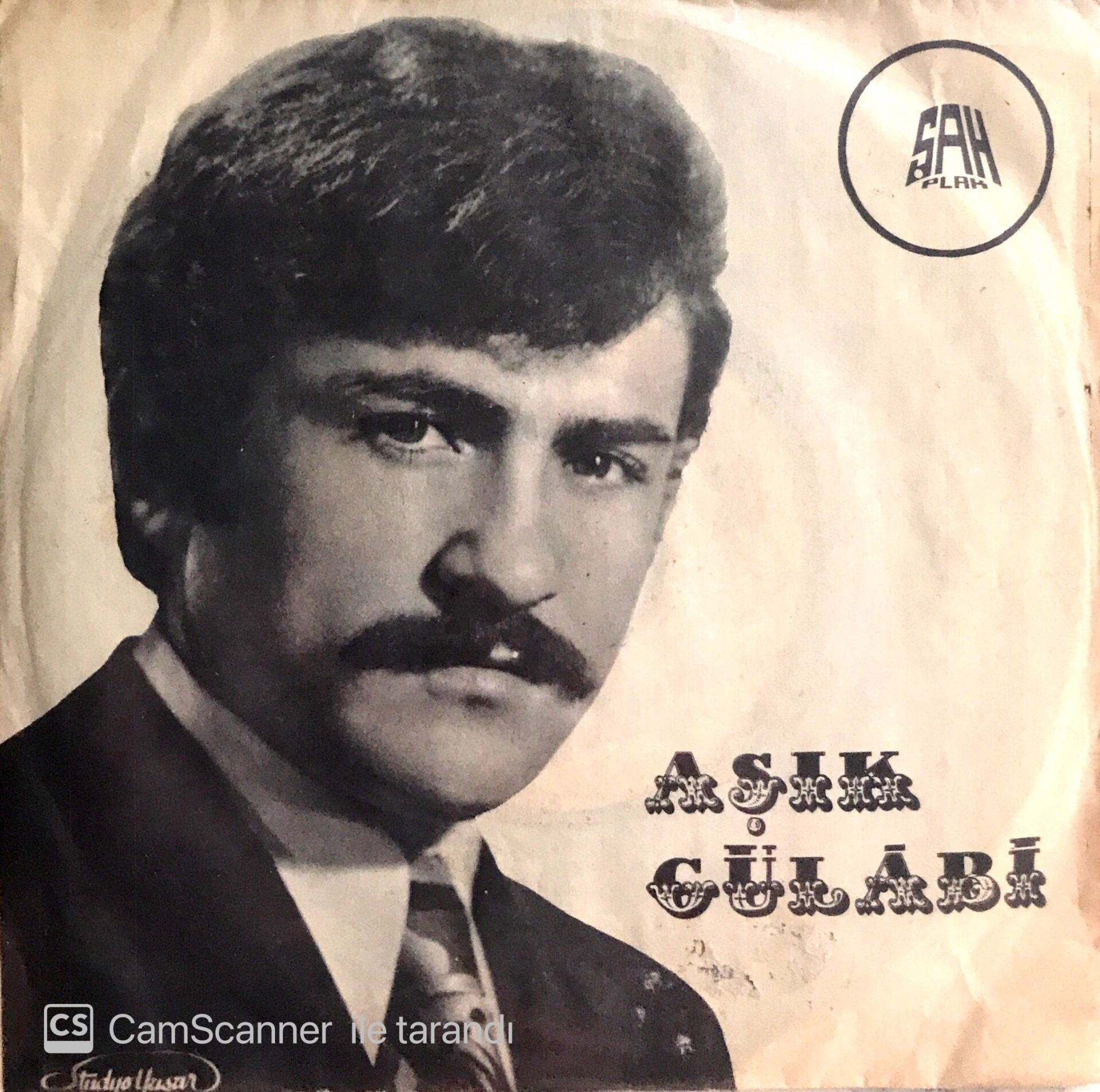 Aşık Gülabi / Aşk Pınarı Akar Baharda 45'lik