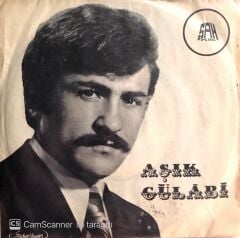 Aşık Gülabi / Aşk Pınarı Akar Baharda 45'lik