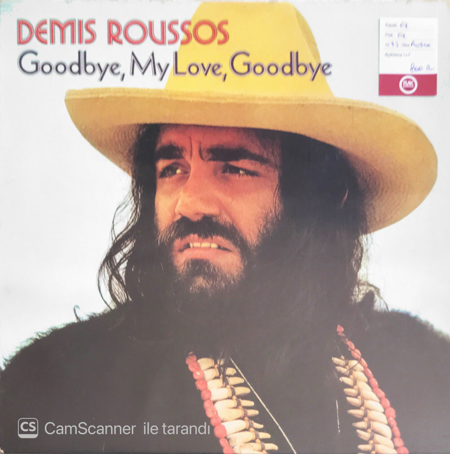 Demis Roussos - Goodbye, My Love, Goodbye - LP