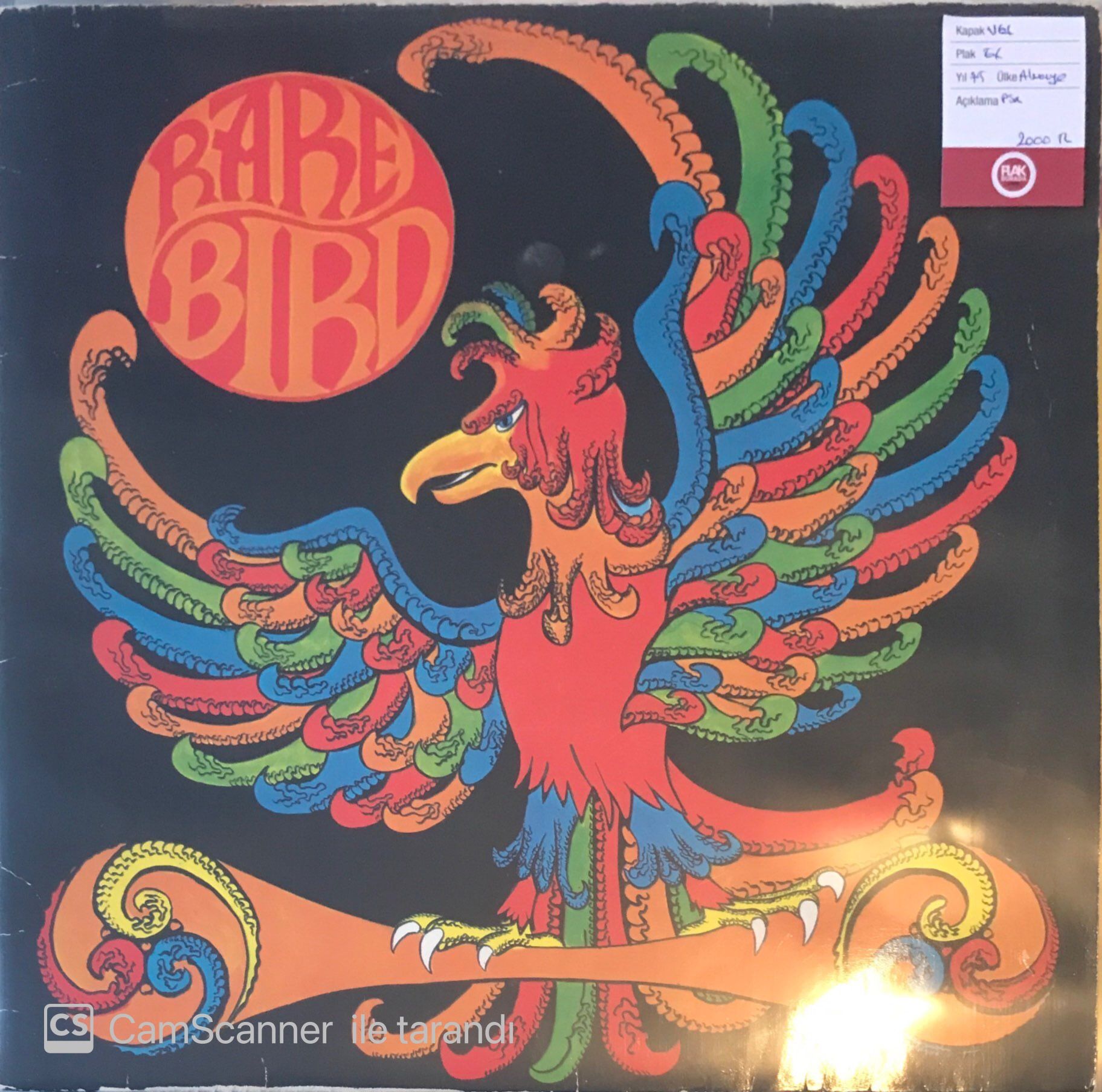 Rare Bird LP