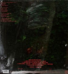 Childish Gambino / Bando Stone And The New World Double LP