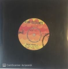 Avni Seçilmiş Aşkına Muhtacım 45lik