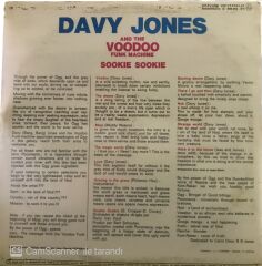 Davy Jones and The Voodoo Funk Machine LP