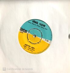 Gönül Yazar Büyük Aşk 45 Lik