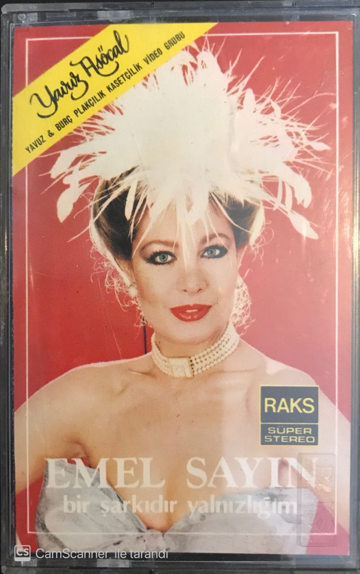 Emel Sayın - Bir Şarkıdır Yalnızlığım KASET