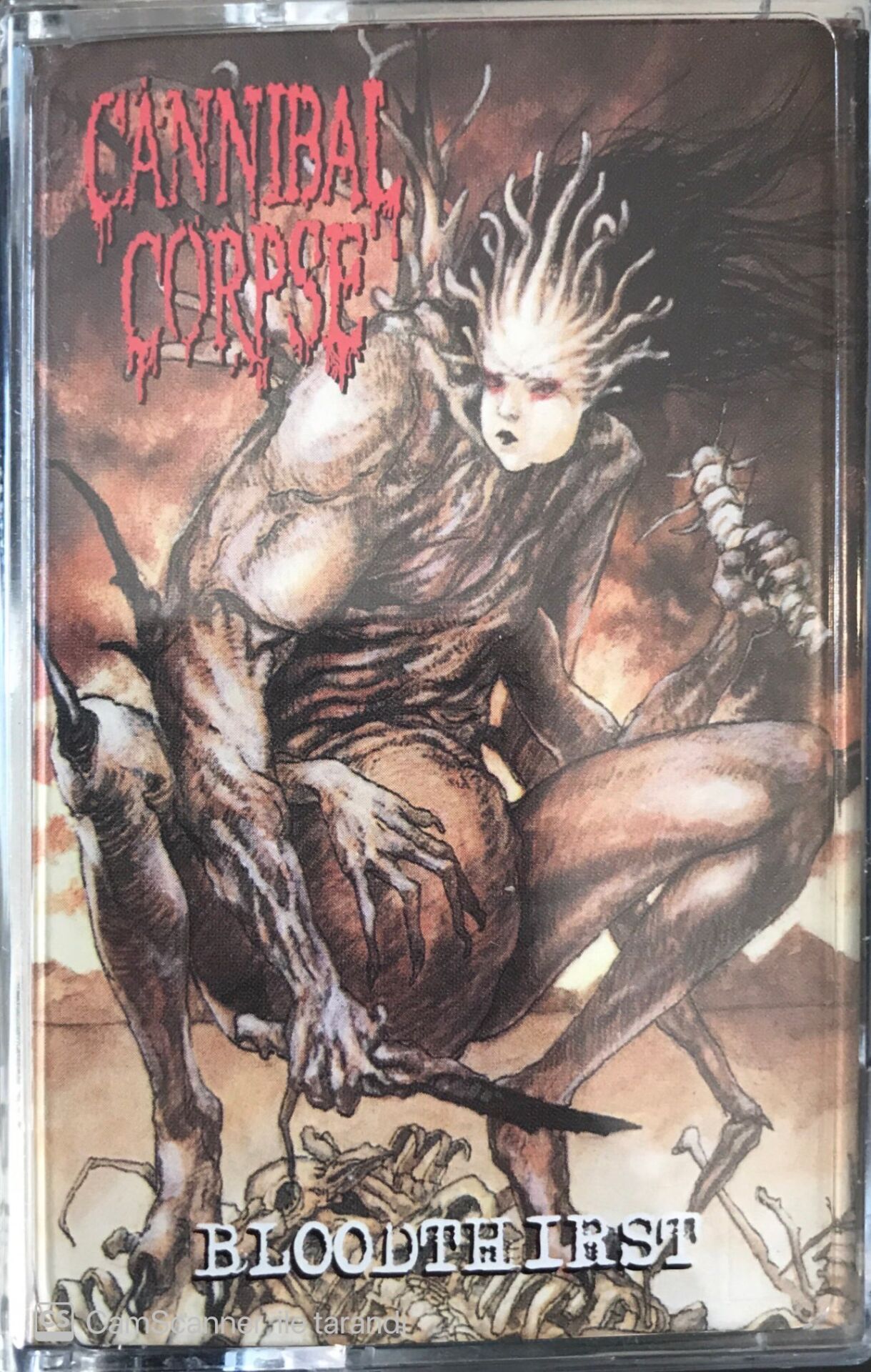 Cannibal Corpse - Bloodthirst KASET
