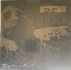 Pink Floyd Tour 73' LP
