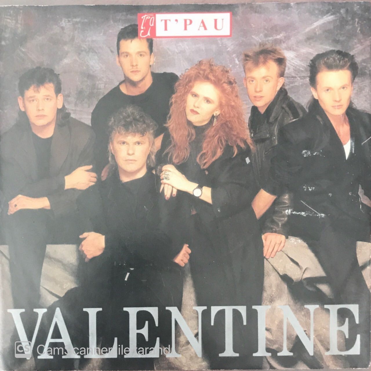 T'pau Valentine 45lik