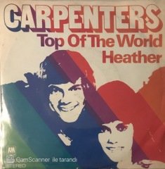 Carpenters Top Of The World 45lik