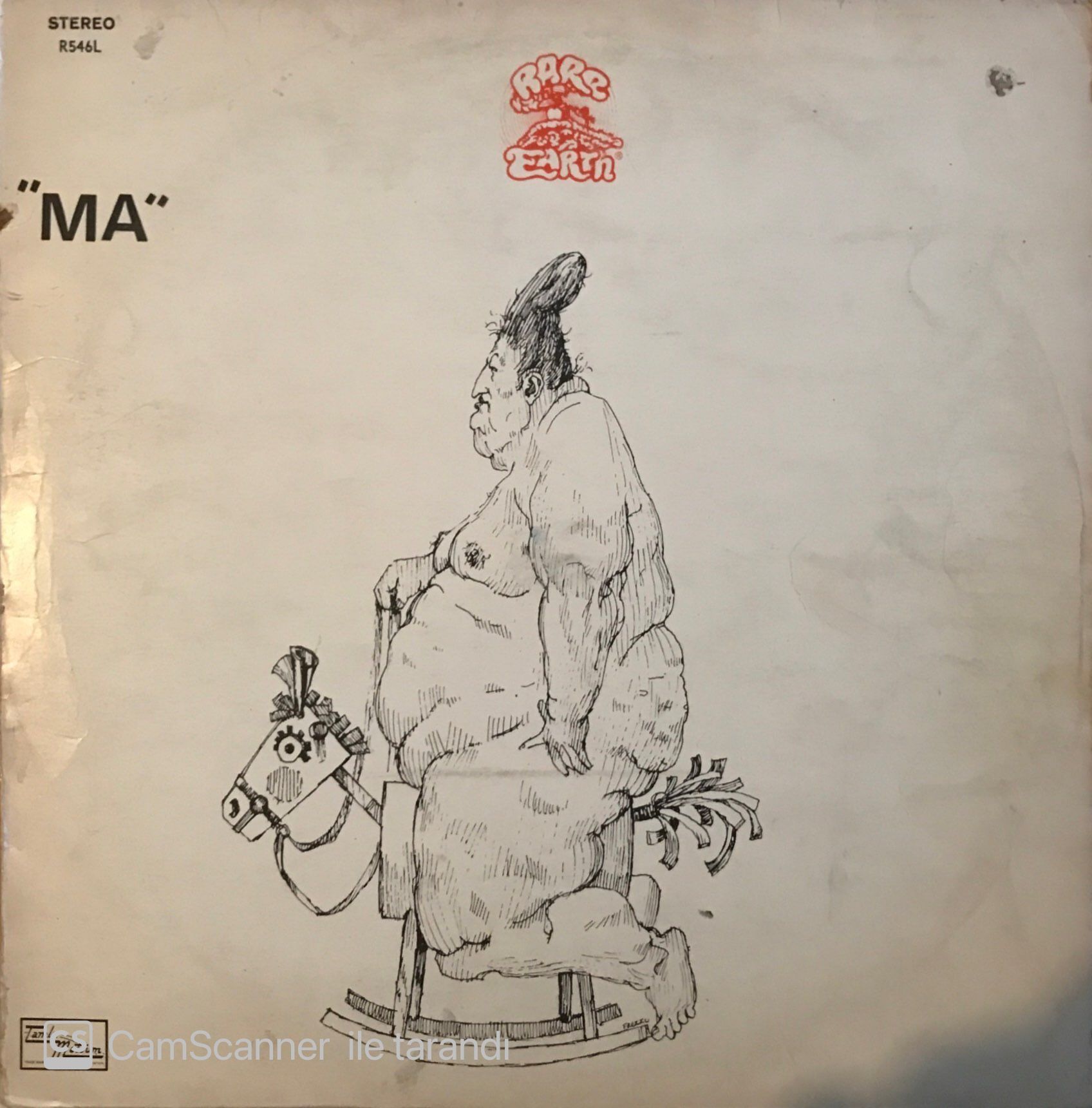 Rare Earth Ma LP
