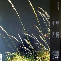 Sam Smith - Love Goes 2 x LP
