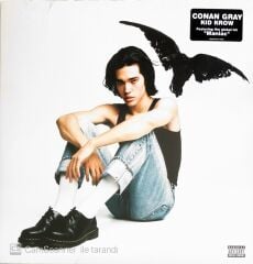 Conan Gray - Kid Crow - LP