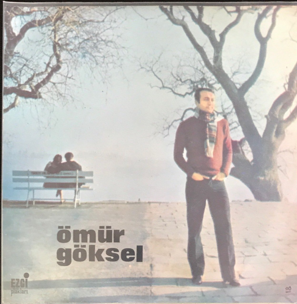 Ömür Göksel Leyla 45lik