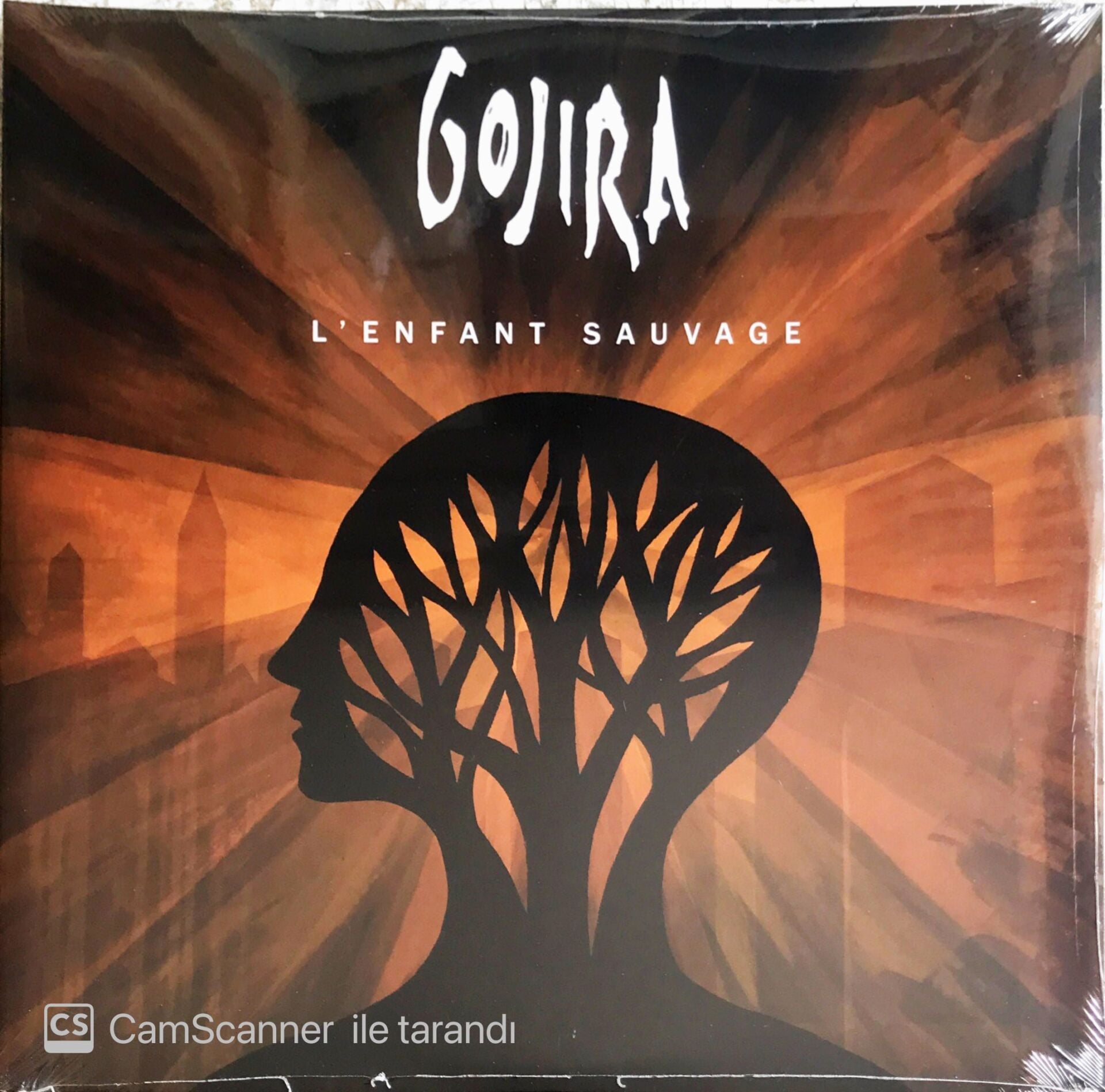 Gojira - L'enfant Sauvage (Forest Green Vinyl) - Double LP