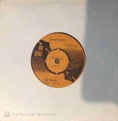 Şahin Gök Aşk Masalı 45lik